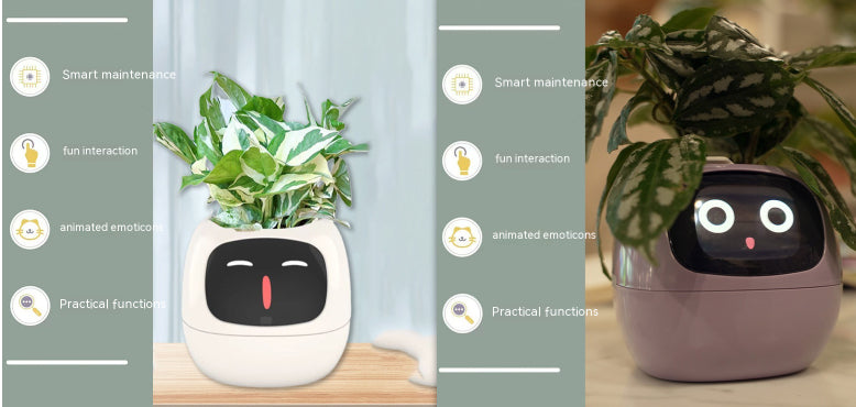 Smart Planter for Easy Plant Care: Enjoy Effortless Gardening with 49 Fun Expressions