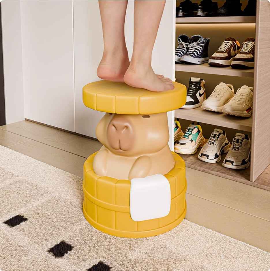 Elevate Your Entryway Style with the Capibala Creative Stool by CABINSGATE SMART FURNITURE
