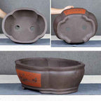 Elegant Purple Sand Flower Pot – A Stylish Centerpiece for Your Home by CABINSGATE SMART FURNITURE