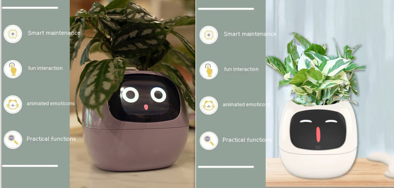 Smart Planter for Easy Plant Care: Enjoy Effortless Gardening with 49 Fun Expressions