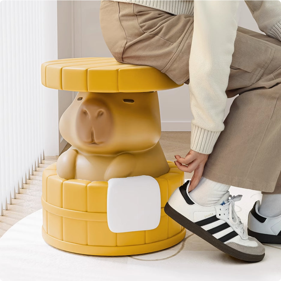 Elevate Your Entryway Style with the Capibala Creative Stool by CABINSGATE SMART FURNITURE