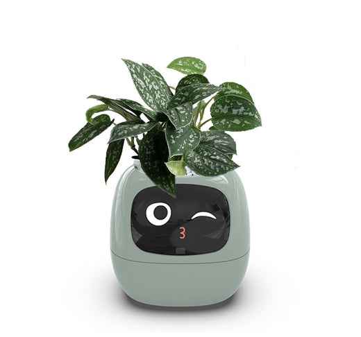 Smart Planter for Easy Plant Care: Enjoy Effortless Gardening with 49 Fun Expressions